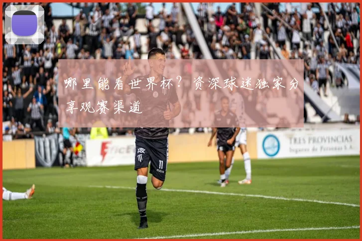 哪里能看世界杯？资深球迷独家分享观赛渠道