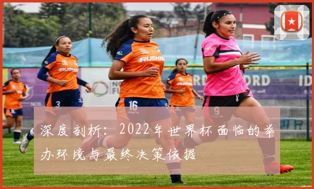 深度剖析：2022年世界杯面临的举办环境与最终决策依据